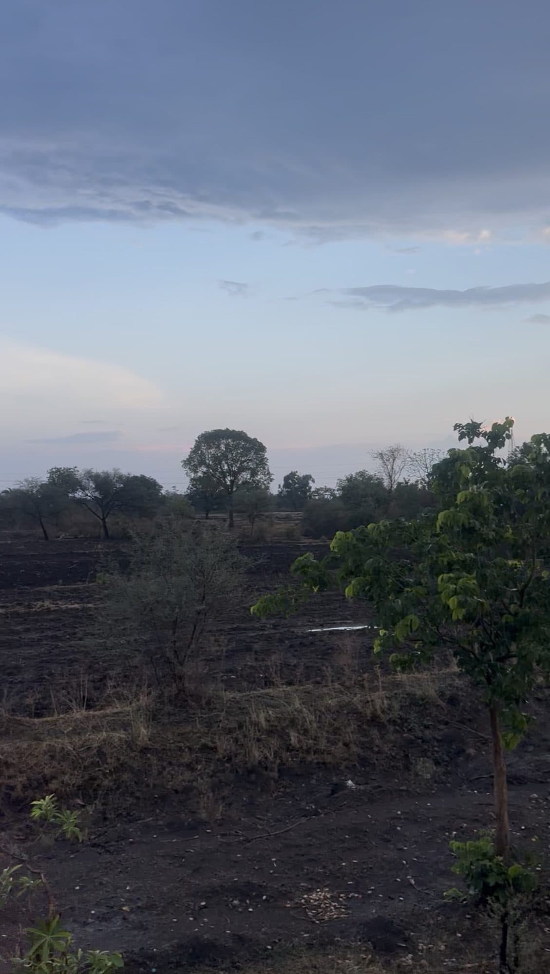 NH 46 Pachore  — photo 3