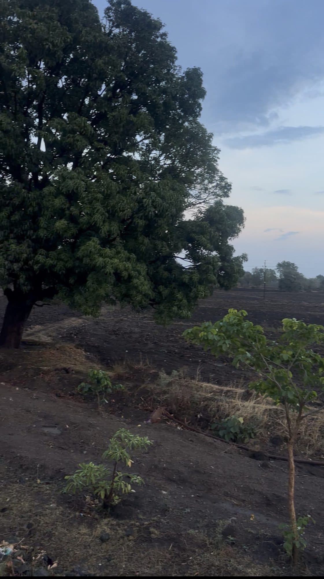 NH 46 Pachore  — photo 1